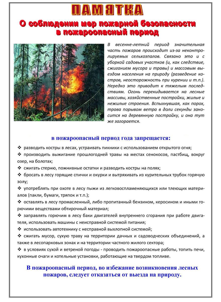 p 2025 07 17 1